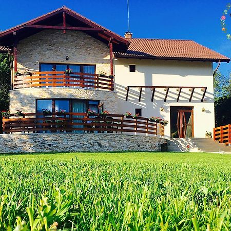 Pensiunea Casa Florela Capusu Mic エクステリア 写真