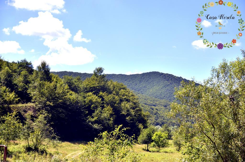 Pensiunea Casa Florela Capusu Mic エクステリア 写真