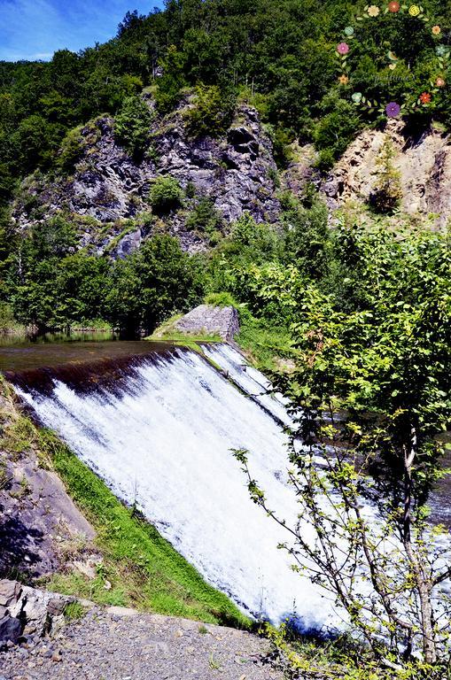 Pensiunea Casa Florela Capusu Mic エクステリア 写真