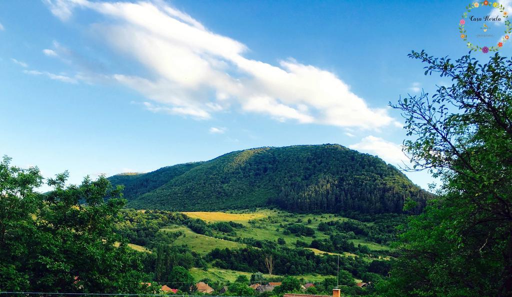 Pensiunea Casa Florela Capusu Mic エクステリア 写真
