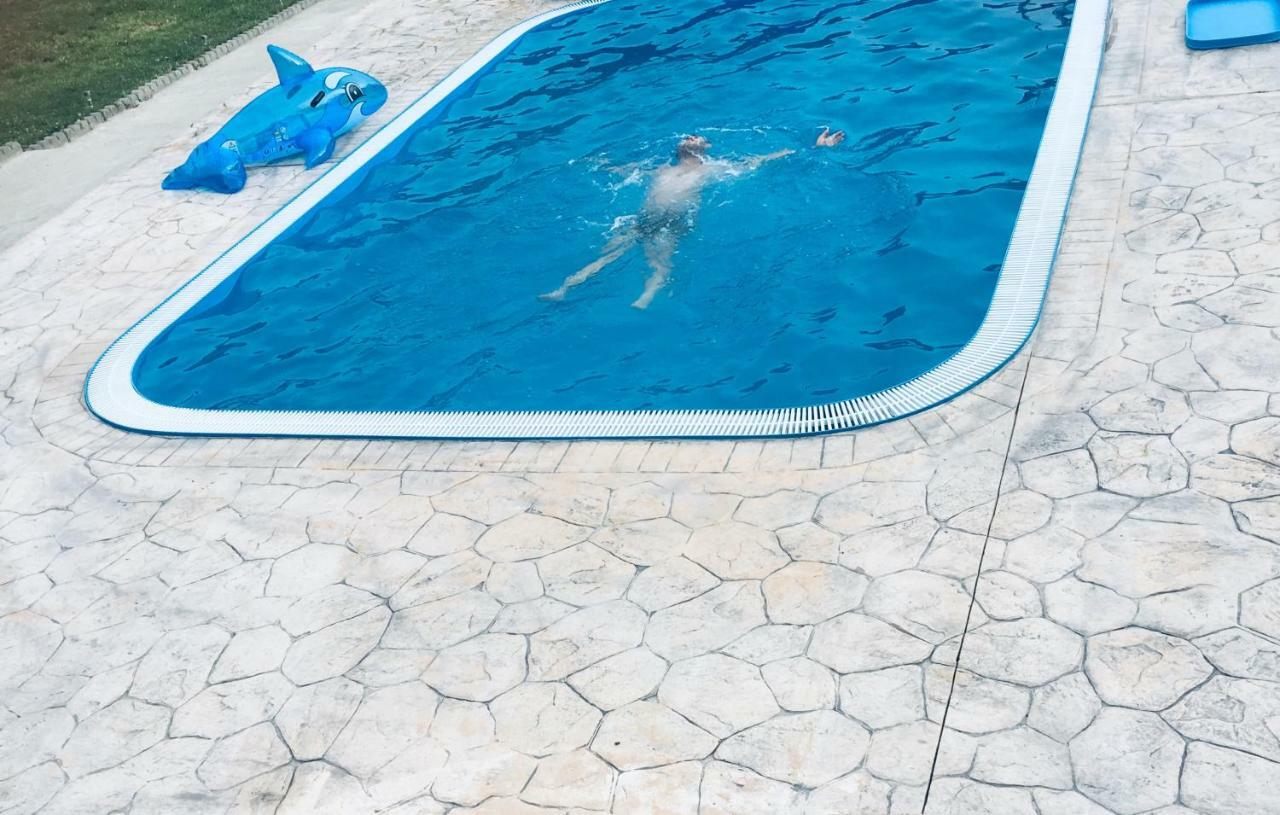 Pensiunea Casa Florela Capusu Mic エクステリア 写真