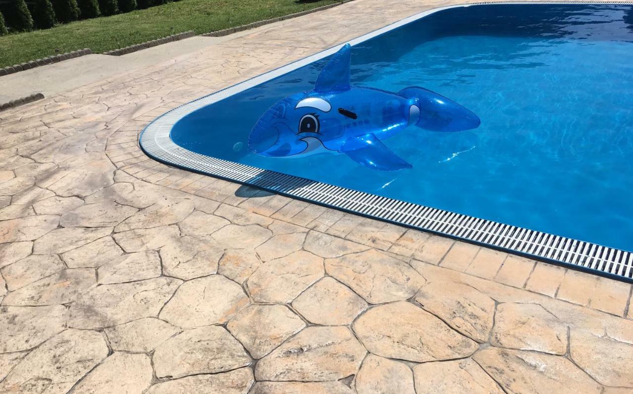 Pensiunea Casa Florela Capusu Mic エクステリア 写真