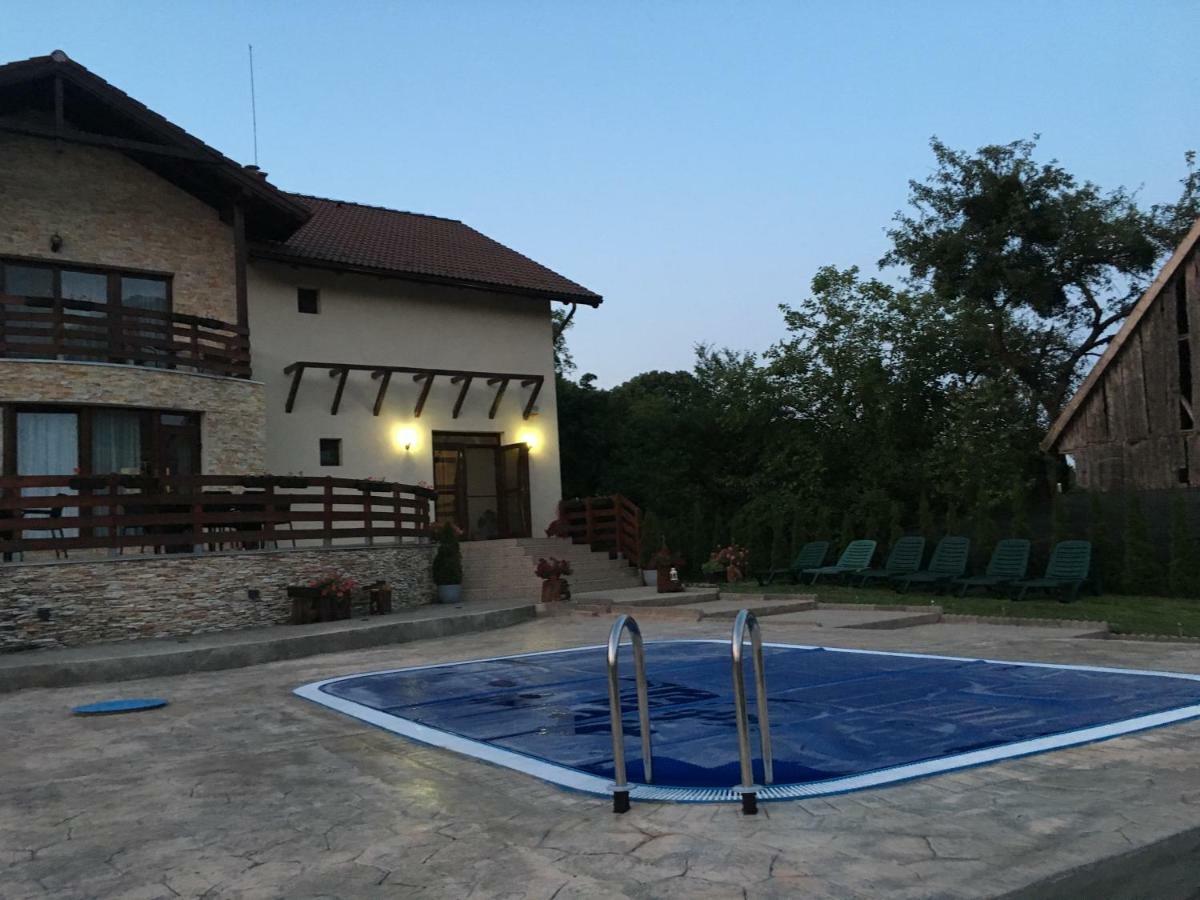 Pensiunea Casa Florela Capusu Mic エクステリア 写真